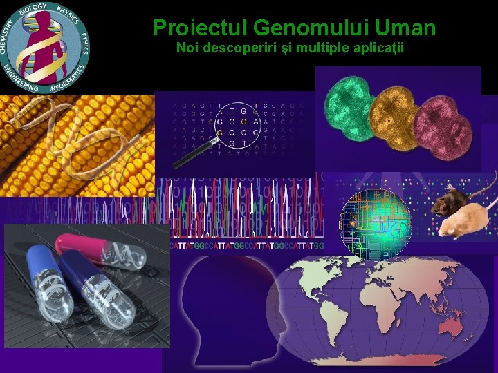 Proiectul Genomului Uman Noi descoperiri şi multiple aplicaţii 