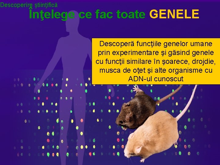 Descoperire ştiinţifică Înţelege ce fac toate GENELE Descoperă funcţiile genelor umane prin experimentare şi