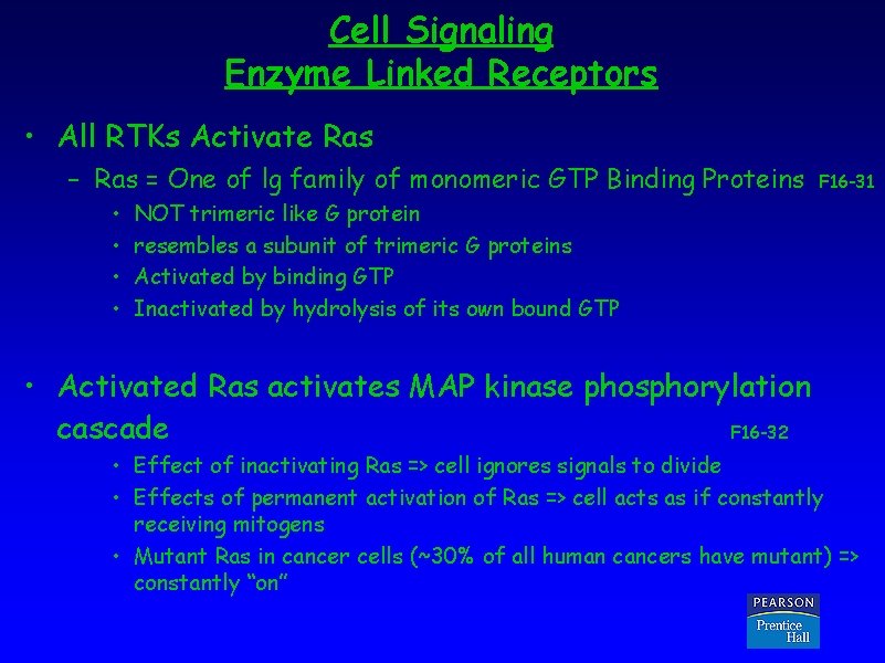 Cell Signaling Enzyme Linked Receptors • All RTKs Activate Ras – Ras = One