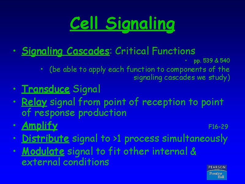 Cell Signaling • Signaling Cascades: Critical Functions • pp. 539 & 540 • (be