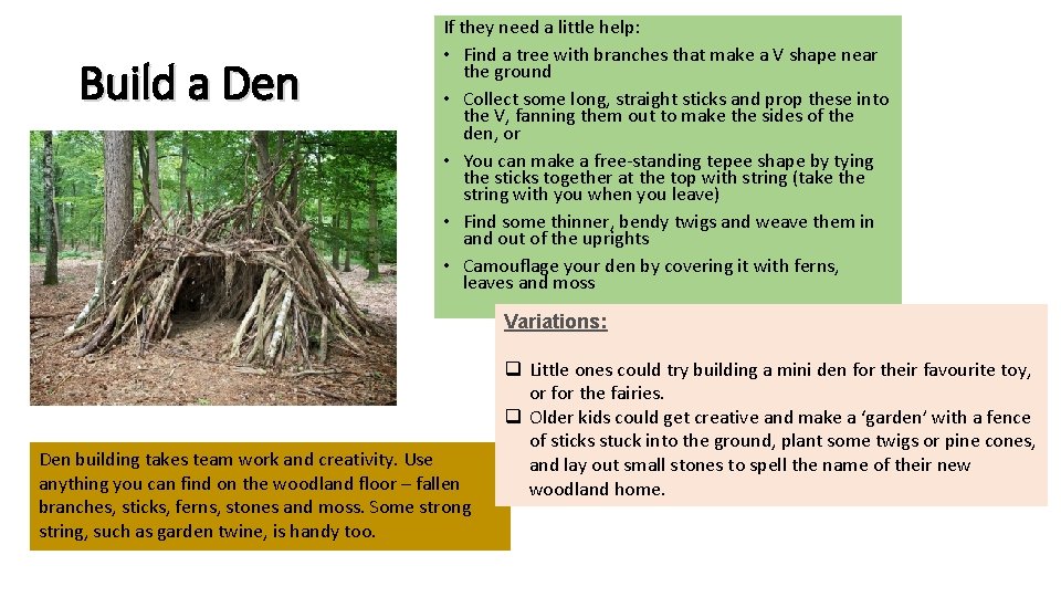 Build a Den If they need a little help: • Find a tree with