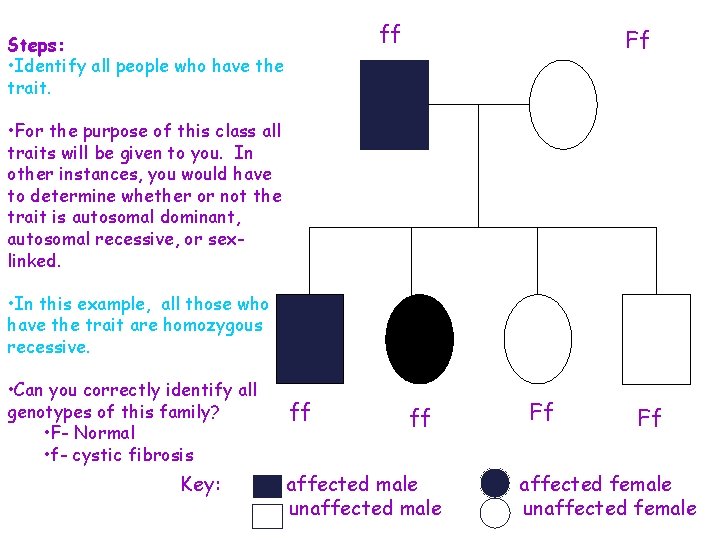 ff Steps: • Identify all people who have the trait. Ff • For the