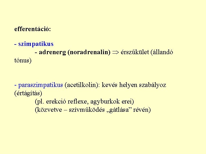 efferentáció: - szimpatikus - adrenerg (noradrenalin) érszűkület (állandó tónus) - paraszimpatikus (acetilkolin): kevés helyen