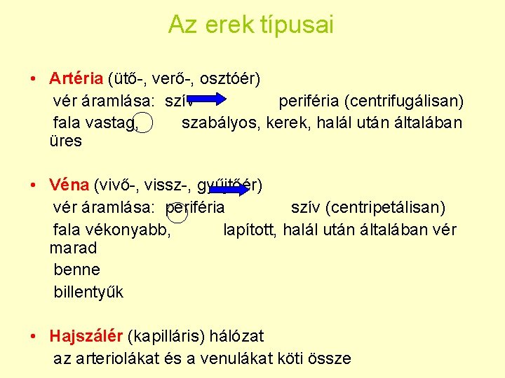 Az erek típusai • Artéria (ütő-, verő-, osztóér) vér áramlása: szív periféria (centrifugálisan) fala