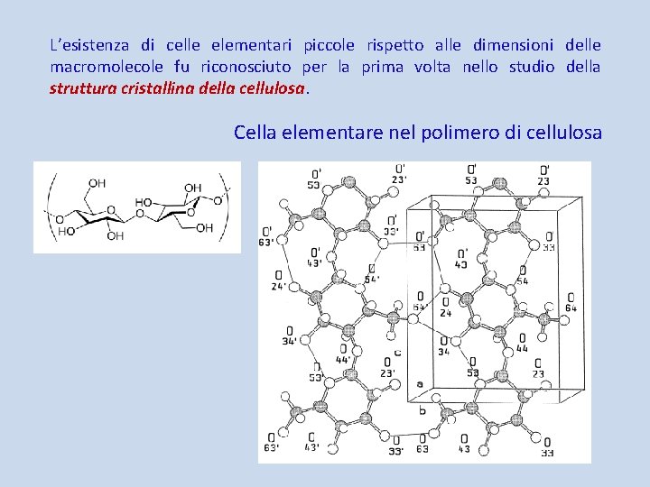 L’esistenza di celle elementari piccole rispetto alle dimensioni delle macromolecole fu riconosciuto per la