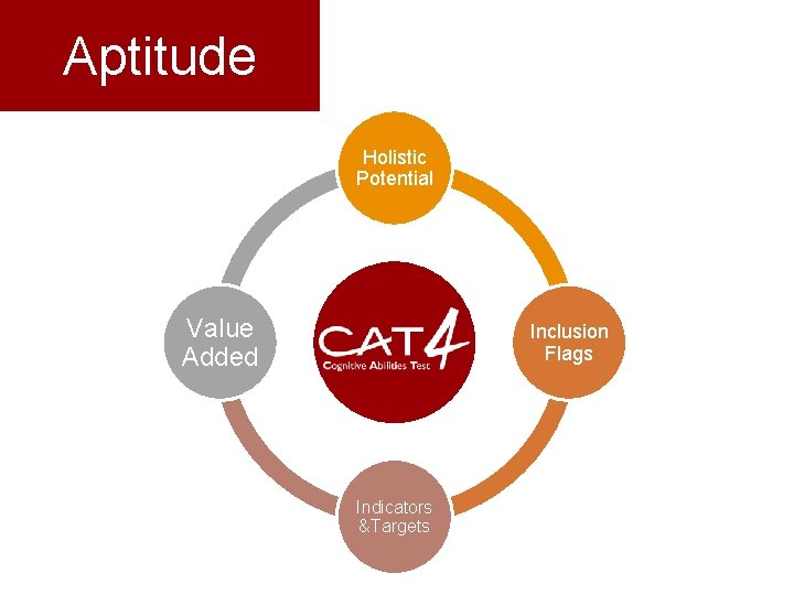 Aptitude Holistic Potential Value Added Inclusion Flags Indicators &Targets 