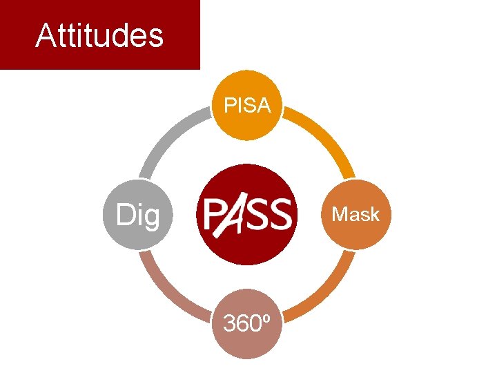 Attitudes PISA Dig Mask 360º 