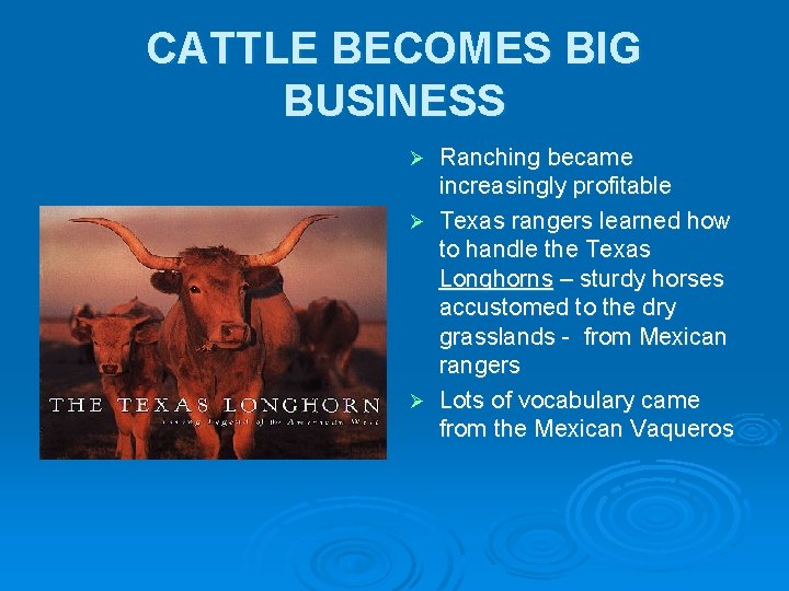 CATTLE BECOMES BIG BUSINESS Ranching became increasingly profitable Ø Texas rangers learned how to CATTLE BECOMES BIG BUSINESS Ranching became increasingly profitable Ø Texas rangers learned how to