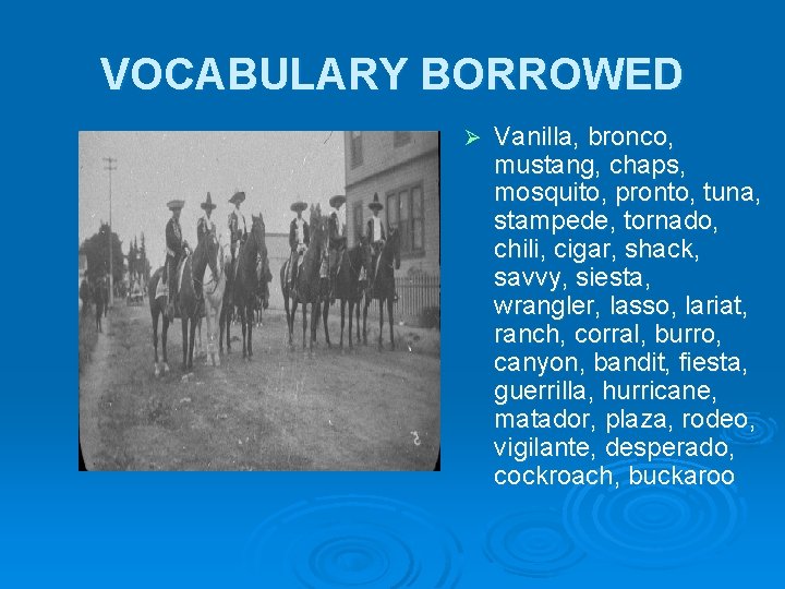 VOCABULARY BORROWED Ø Vanilla, bronco, mustang, chaps, mosquito, pronto, tuna, stampede, tornado, chili, cigar, VOCABULARY BORROWED Ø Vanilla, bronco, mustang, chaps, mosquito, pronto, tuna, stampede, tornado, chili, cigar,