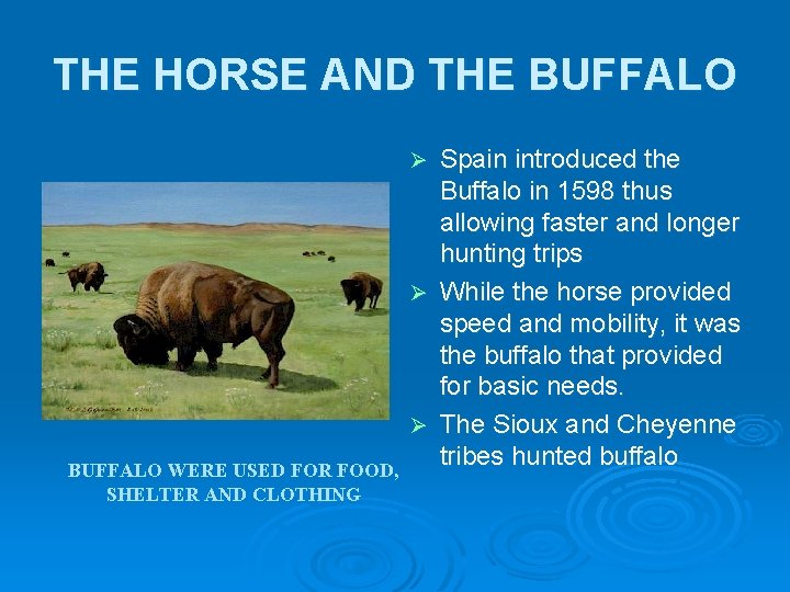 THE HORSE AND THE BUFFALO Spain introduced the Buffalo in 1598 thus allowing faster THE HORSE AND THE BUFFALO Spain introduced the Buffalo in 1598 thus allowing faster