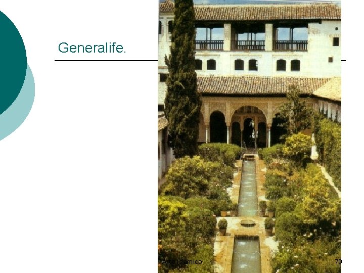 Generalife. Arte islámico 79 