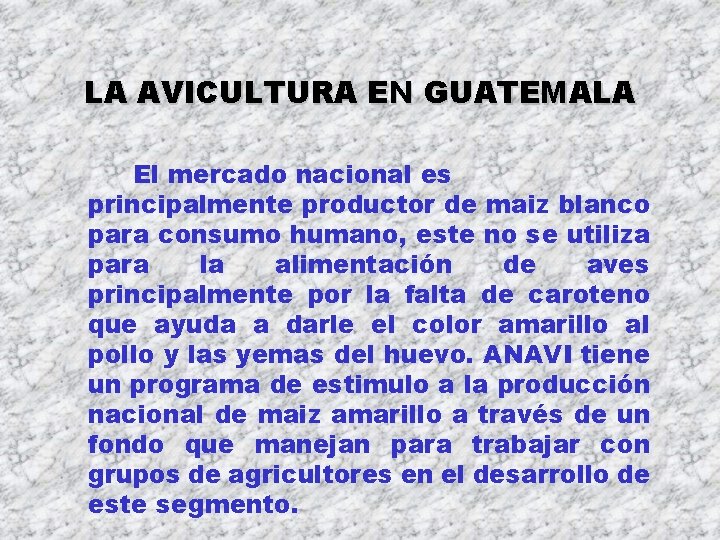 LA AVICULTURA EN GUATEMALA El mercado nacional es principalmente productor de maiz blanco para LA AVICULTURA EN GUATEMALA El mercado nacional es principalmente productor de maiz blanco para