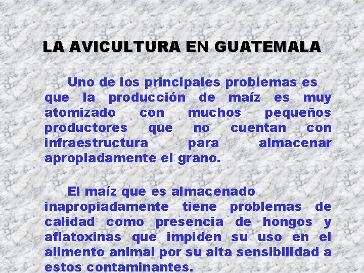LA AVICULTURA EN GUATEMALA Uno de los principales problemas es que la producción de LA AVICULTURA EN GUATEMALA Uno de los principales problemas es que la producción de