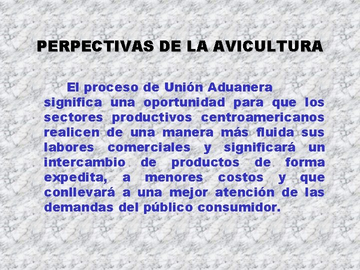 PERPECTIVAS DE LA AVICULTURA El proceso de Unión Aduanera significa una oportunidad para que PERPECTIVAS DE LA AVICULTURA El proceso de Unión Aduanera significa una oportunidad para que