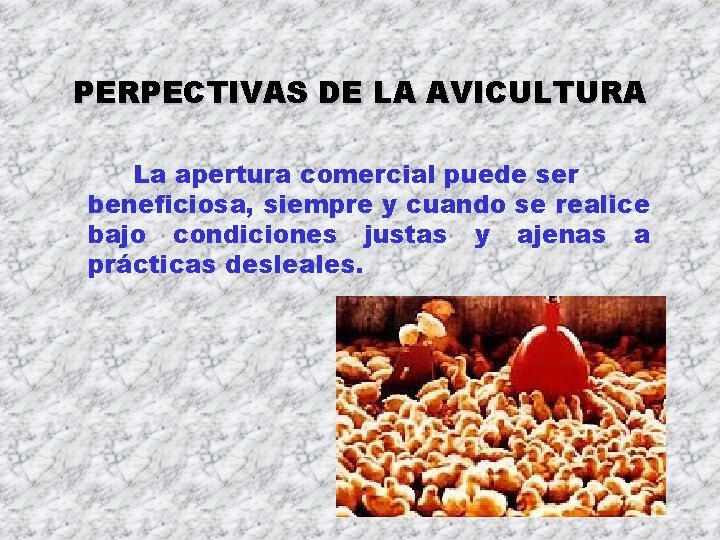 PERPECTIVAS DE LA AVICULTURA La apertura comercial puede ser beneficiosa, siempre y cuando se PERPECTIVAS DE LA AVICULTURA La apertura comercial puede ser beneficiosa, siempre y cuando se