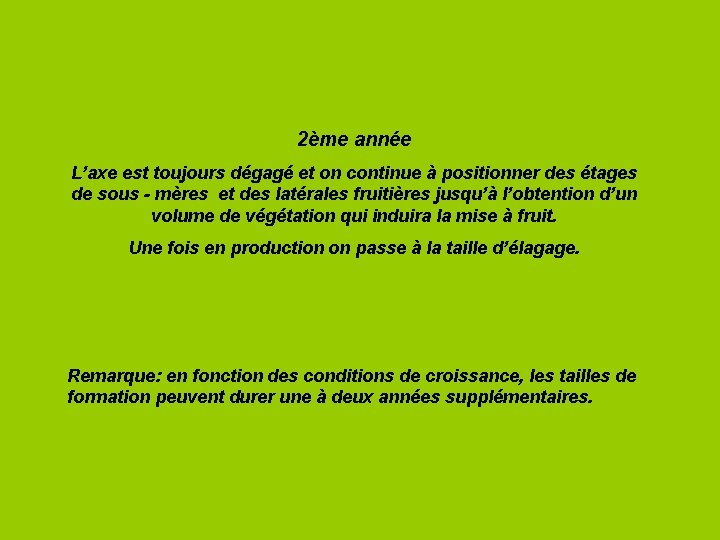 2ème année L’axe est toujours dégagé et on continue à positionner des étages de