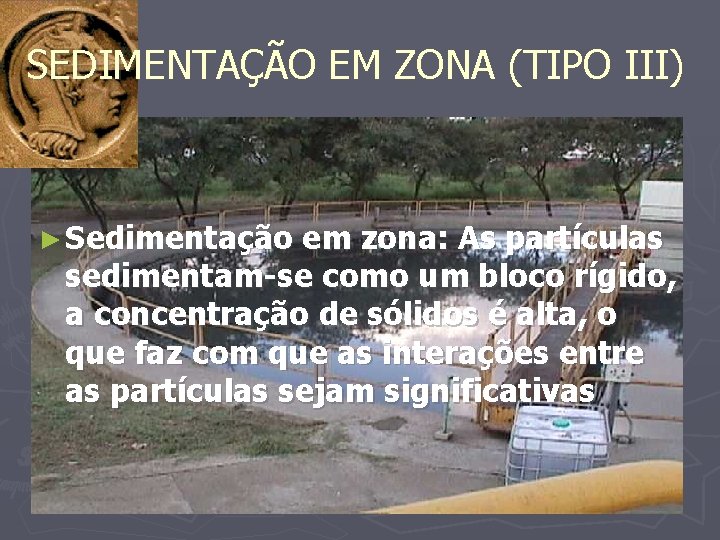SEDIMENTAÇÃO EM ZONA (TIPO III) ► Sedimentação em zona: As partículas sedimentam-se como um