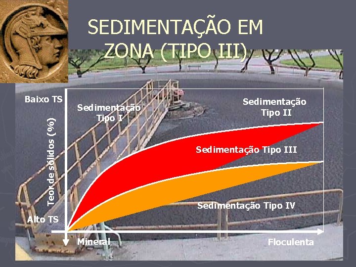 SEDIMENTAÇÃO EM ZONA (TIPO III) Teor de sólidos (%) Baixo TS Sedimentação Tipo III