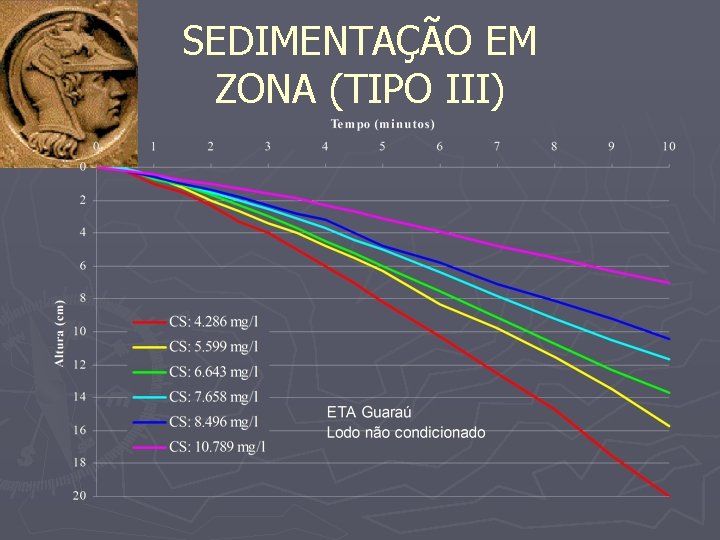 SEDIMENTAÇÃO EM ZONA (TIPO III) 