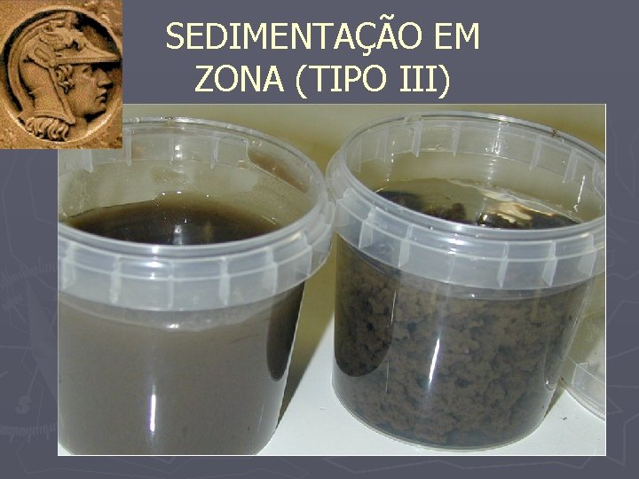 SEDIMENTAÇÃO EM ZONA (TIPO III) 