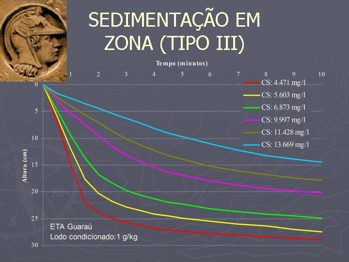 SEDIMENTAÇÃO EM ZONA (TIPO III) 