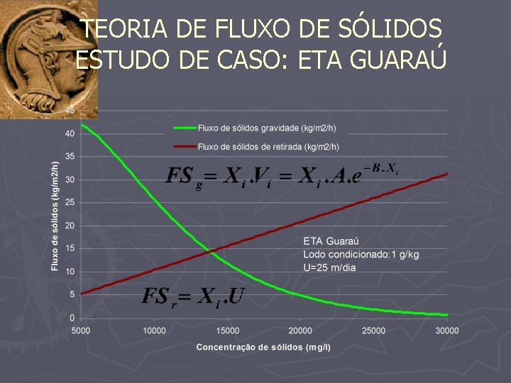 TEORIA DE FLUXO DE SÓLIDOS ESTUDO DE CASO: ETA GUARAÚ 