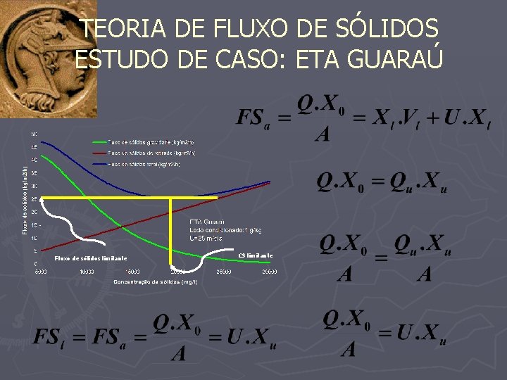 TEORIA DE FLUXO DE SÓLIDOS ESTUDO DE CASO: ETA GUARAÚ Fluxo de sólidos limitante