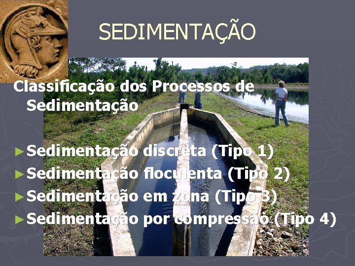 SEDIMENTAÇÃO Classificação dos Processos de Sedimentação ► Sedimentação discreta (Tipo 1) ► Sedimentação floculenta