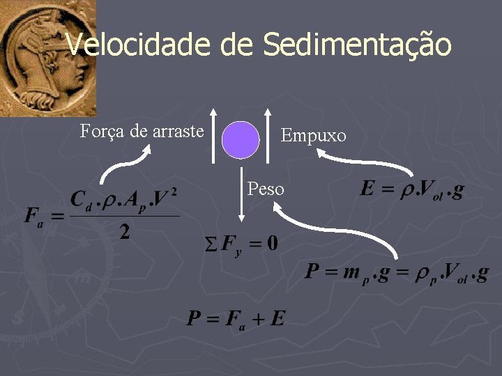 Velocidade de Sedimentação Força de arraste Empuxo Peso 