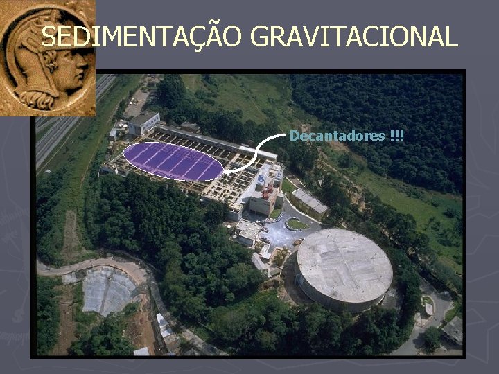 SEDIMENTAÇÃO GRAVITACIONAL Decantadores !!! 