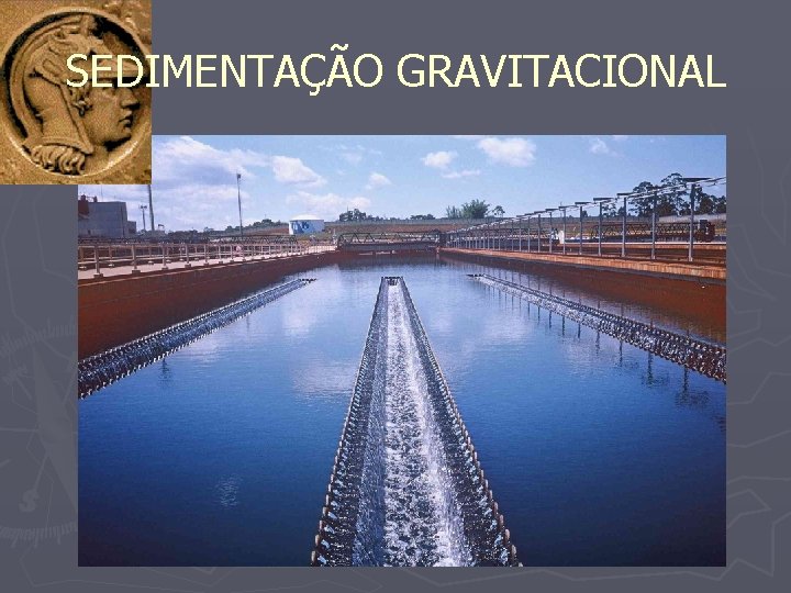 SEDIMENTAÇÃO GRAVITACIONAL 