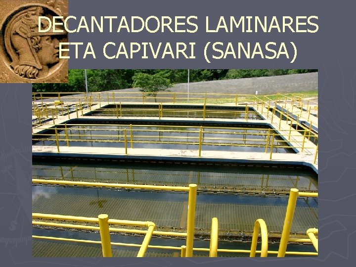 DECANTADORES LAMINARES ETA CAPIVARI (SANASA) 