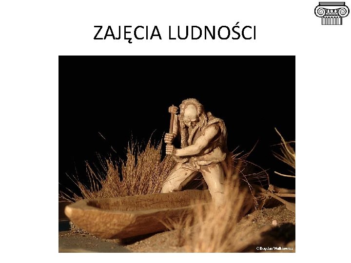 ZAJĘCIA LUDNOŚCI 