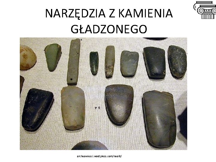 NARZĘDZIA Z KAMIENIA GŁADZONEGO archeowiesci. wordpress. com/neolit/ NARZĘDZIA Z KAMIENIA GŁADZONEGO archeowiesci. wordpress. com/neolit/