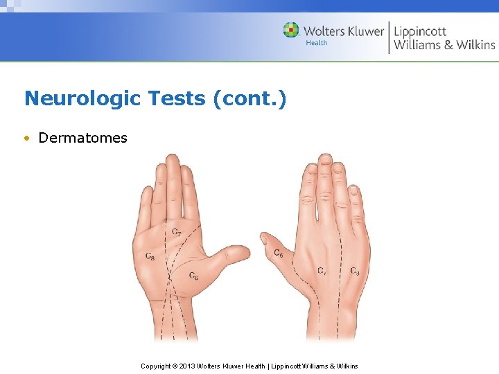 Neurologic Tests (cont. ) • Dermatomes Copyright © 2013 Wolters Kluwer Health | Lippincott