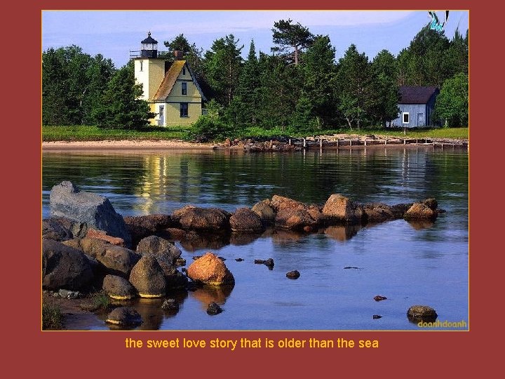 the sweet love story that is older than the sea 