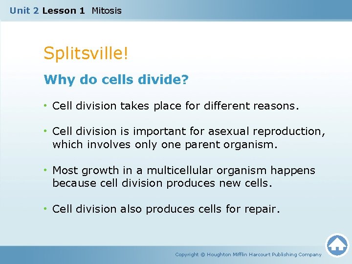 Unit 2 Lesson 1 Mitosis Splitsville! Why do cells divide? • Cell division takes