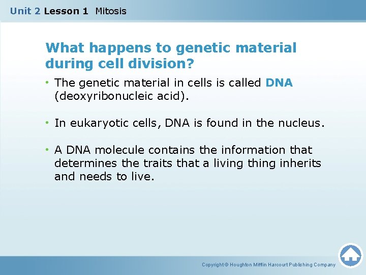Unit 2 Lesson 1 Mitosis What happens to genetic material during cell division? •