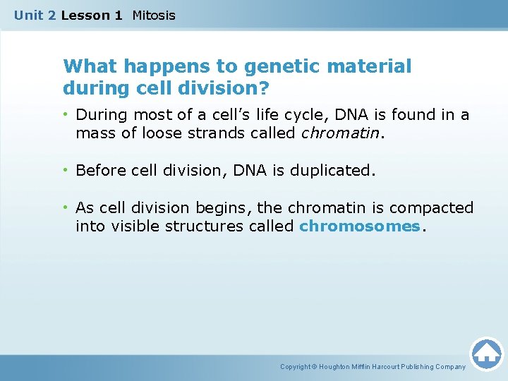 Unit 2 Lesson 1 Mitosis What happens to genetic material during cell division? •