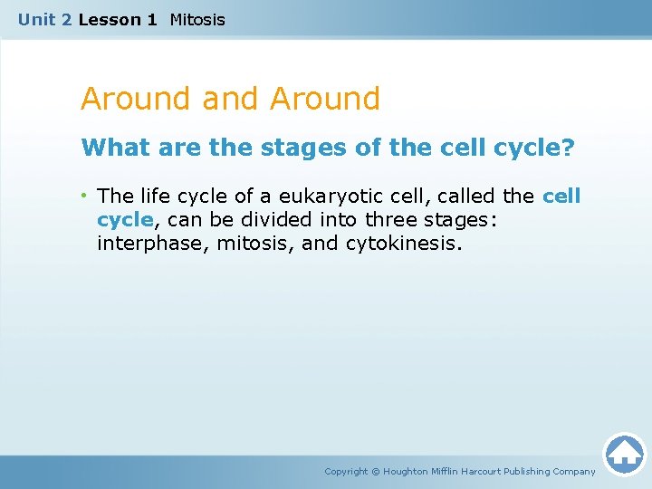 Unit 2 Lesson 1 Mitosis Around and Around What are the stages of the