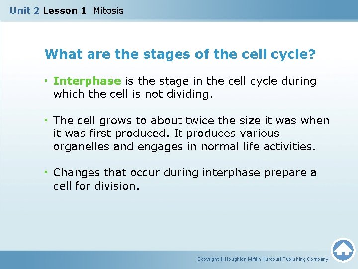 Unit 2 Lesson 1 Mitosis What are the stages of the cell cycle? •