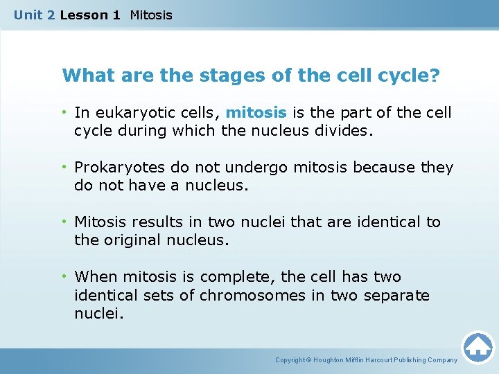 Unit 2 Lesson 1 Mitosis What are the stages of the cell cycle? •