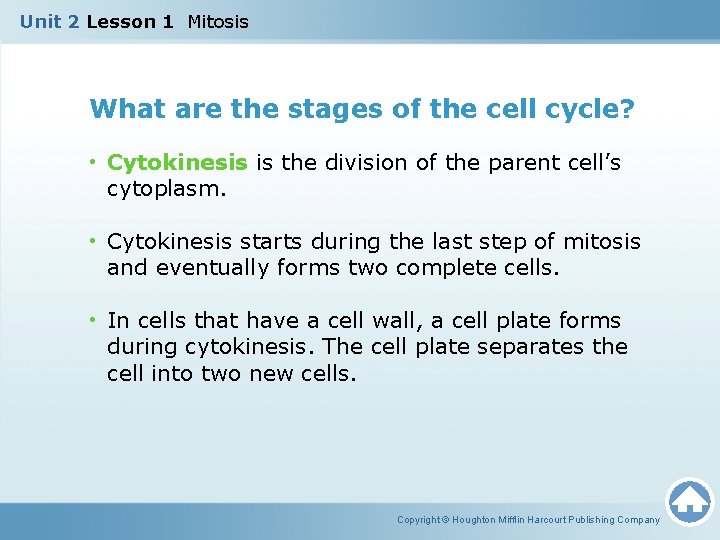 Unit 2 Lesson 1 Mitosis What are the stages of the cell cycle? •