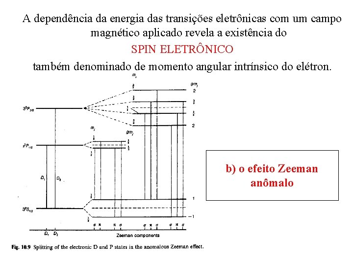 A dependência da energia das transições eletrônicas com um campo magnético aplicado revela a