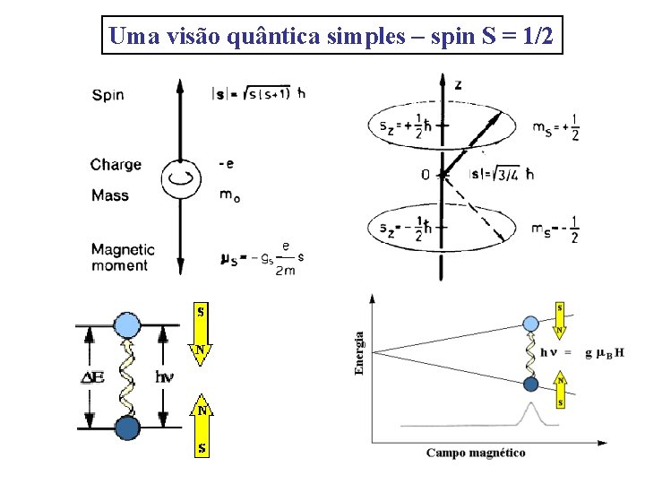 Uma visão quântica simples – spin S = 1/2 