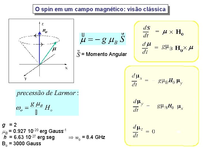O spin em um campo magnético: visão clássica = Momento Angular g = 2