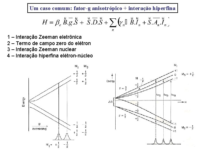 Um caso comum: fator-g anisotrópico + interação hiperfina 1 – Interação Zeeman eletrônica 2