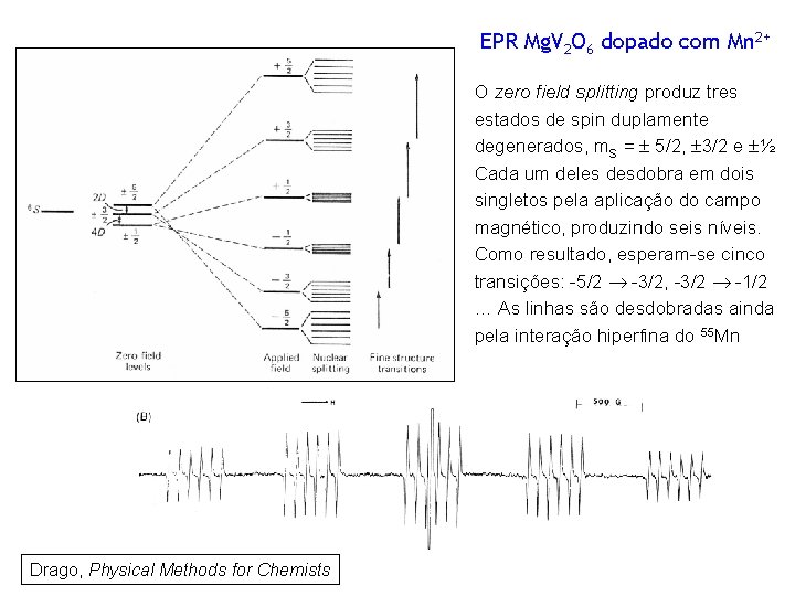 EPR Mg. V 2 O 6 dopado com Mn 2+ O zero field splitting