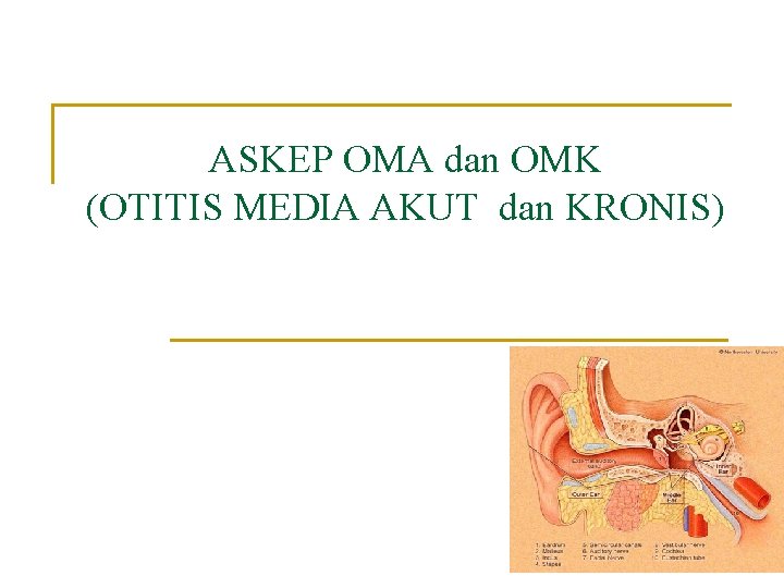 ASKEP OMA dan OMK (OTITIS MEDIA AKUT dan KRONIS) 