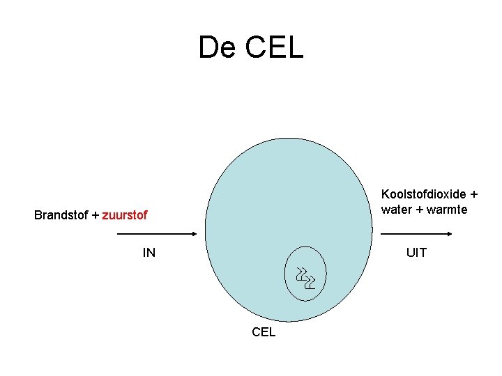 De CEL Koolstofdioxide + water + warmte Brandstof + zuurstof IN UIT CEL 